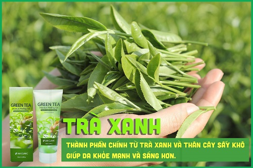 tinh chất trà xanh có trong sản phẩm của onionan